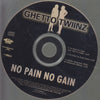 Ghetto Twiinz: No Pain No Gain 3-Track Promo w/ Back Artwork