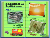 The Magic School Bus: Explores The World Of Animals