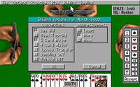 Grand Slam Bridge 2