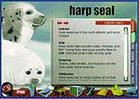 A Field Trip To The Sea Deluxe