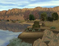 Turkey Hunt Challenge