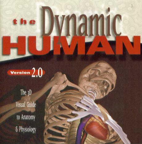 The Dynamic Human 2.0