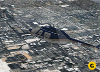 Microsoft Flight Simulator  98