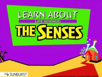 Learn About Life Science: The Senses