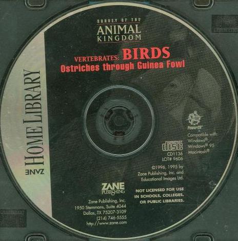 Survey Of The Animal Kingdom: Vertebrates: Birds: Ostriches Through Guinea Fowl