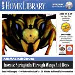 Survey Of The Animal Kingdom: Invertebrates: Insects Springtails Through Wasps And Bees