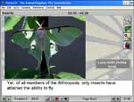 Survey Of The Animal Kingdom: Invertebrates: Insects Springtails Through Wasps And Bees