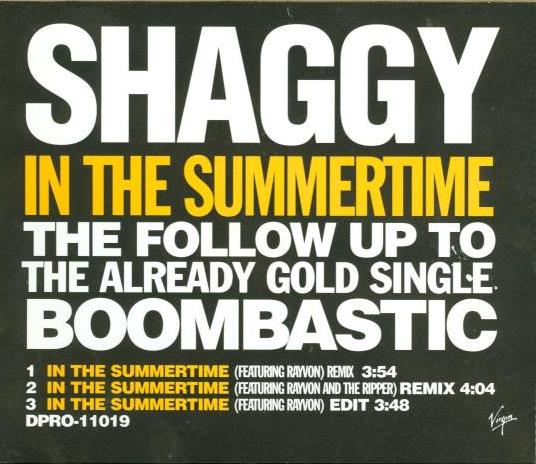 Shaggy: In The Summertime Promo w/ Artwork