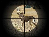 Deer Hunter 2003 - NeverDieMedia