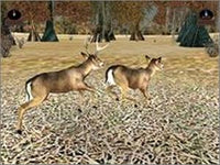 Deer Hunter 2003 - NeverDieMedia