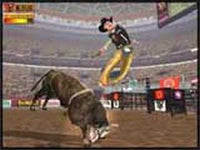 Professional Bull Rider