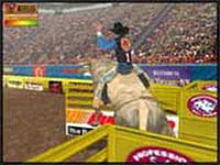 Professional Bull Rider