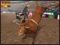 Professional Bull Rider
