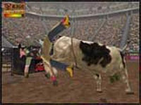 Professional Bull Rider