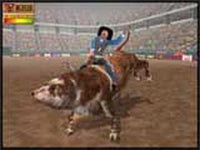 Professional Bull Rider