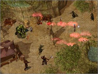 Baldur's Gate II: Throne of Bhaal 2 w/ Manual