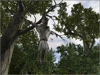 Return To Mysterious Island