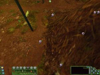 Empire of the Ants