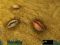 Empire of the Ants