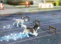 Petz Sports w/ Manual