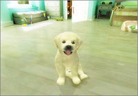 Petz Sports w/ Manual