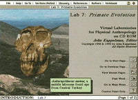 Virtual Laboratories For Physical Anthropology 2nd