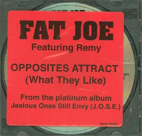Fat Joe: Opposites Attract (What They Like) Promo