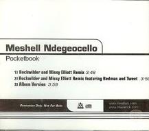 Meshell Ndegeocello: Pocketbook Promo
