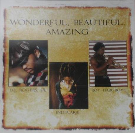 D.J. Rogers, Jr: Wonderful, Beautiful, Amazing Promo w/ Artwork