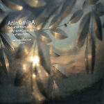 Amiina: Animamina w/ Artwork - NeverDieMedia