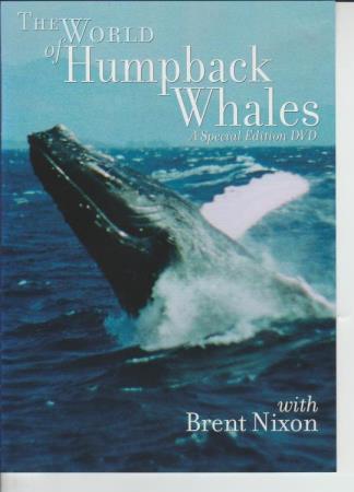The World Of Humpback Whales With Brent Nixon Special