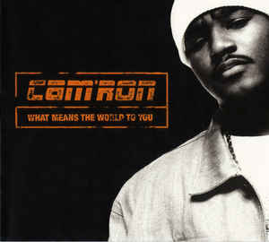 Cam'ron: What Means The World To You Promo w/ Artwork