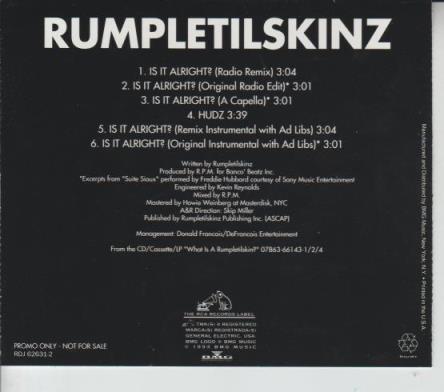 Rumpletilskinz: Is It Alright? Promo