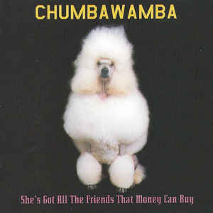 Chumbawamba: She's Got All The Friends That Money Can Buy Promo w/ Artwork