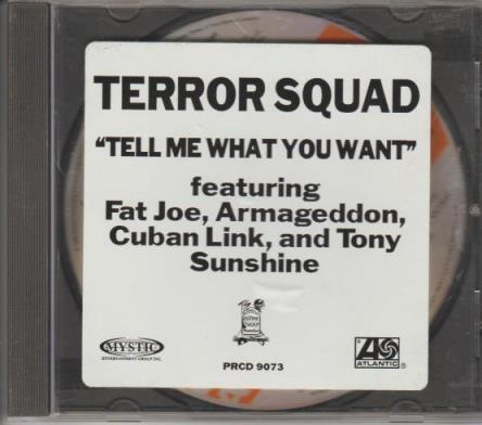 Terror Squad: Tell Me What You Want Promo w/ Artwork