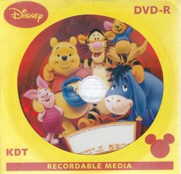 Disney Winnie The Pooh Blank DVD w/ Artwork