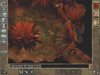 Baldur's Gate 2 w/ Manual