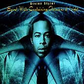 Divine Styler: Spiral Walls Containing Autumns of Light w/ Hole-Punched Artwork