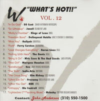 What's Hot!! Vol. 12 Promo w/ Artwork