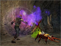 Neverwinter Nights: Mask Of The Betrayer 2