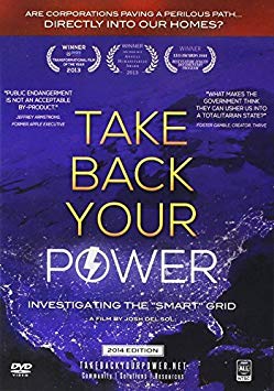Take Back Your Power: Investigating The Smart Grid