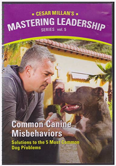 Cesar Millan's Mastering Leadership Series: Common Canine Misbehaviors Vol. 5