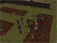 Neverwinter Nights w/ Ad