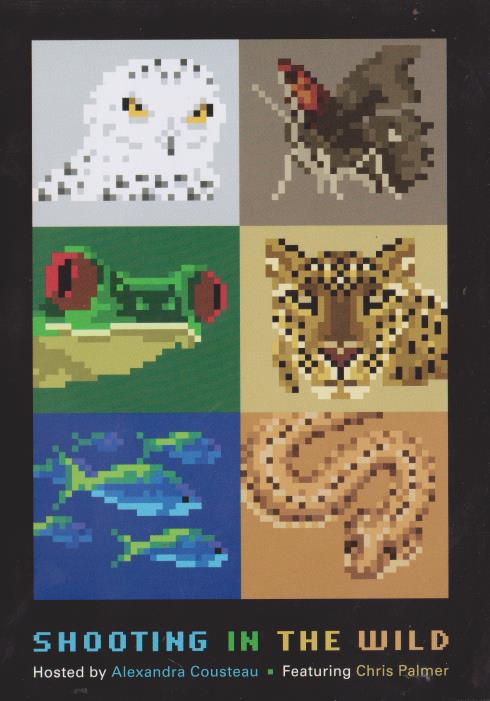 Shooting In The Wild