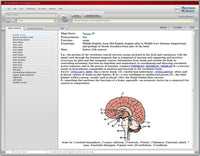 Merriam-Webster's Collegiate Dictionary 11th