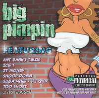 Big Pimpin Promo w/ Artwork