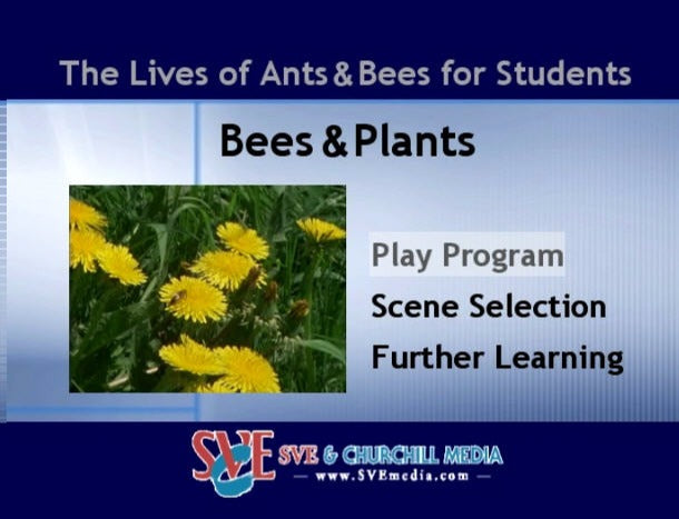 The Lives Of Ants & Bees For Students: Bees & Plants w/ No Artwork