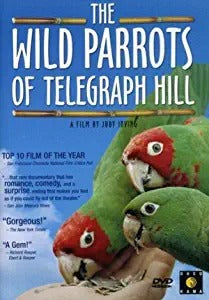 The Wild Parrots of Telegraph Hill - NeverDieMedia