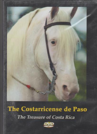 The Costarricense De Paso: The Treasure Of Costa Rica