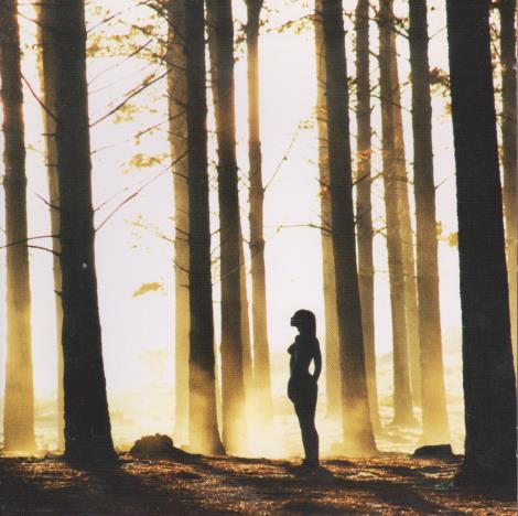 Nicolas Matar: Sun Dance 2 Disc Set